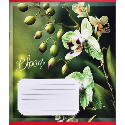 Зошит учнівський 