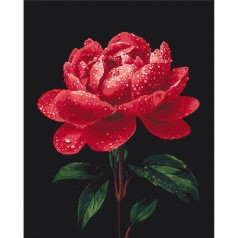 Картина за номерами 