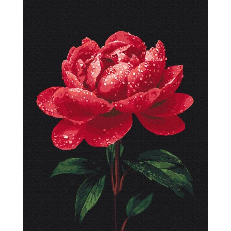 Картина за номерами 