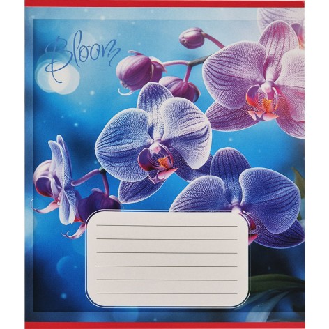 Зошит учнівський 