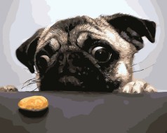 Картина за номерами. Art Craft 