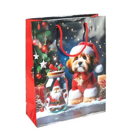 Пакет подарунковий 