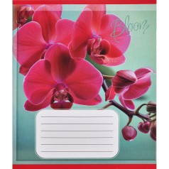 Зошит учнівський "Орхідеї" 018-530261K-5 в клітинку, 18 аркушів