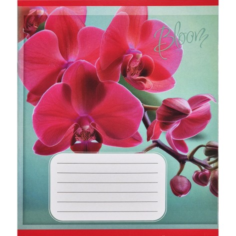 Зошит учнівський 