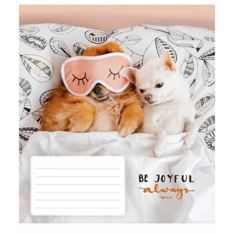 Зошит учнівський 