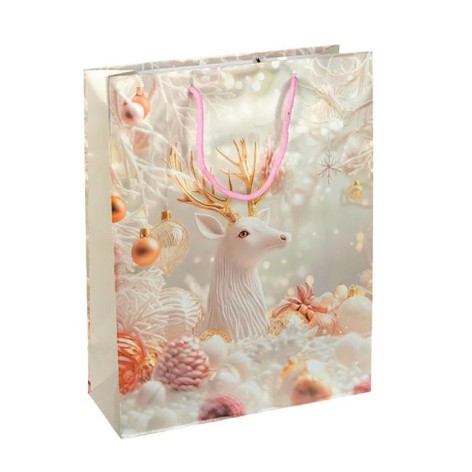 Пакет подарунковий 