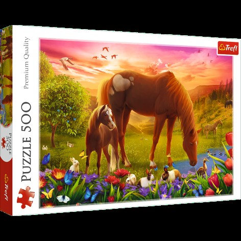 *Пазли - (500 елм.) - 