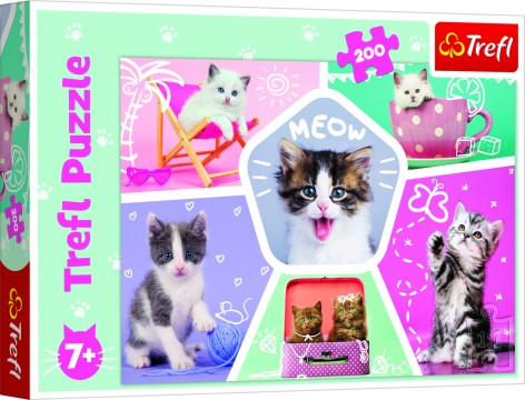 Пазлы - (200 Элм.) - 