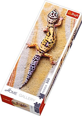 Пазлы - (300 Элм. Домашняя галерея) - 