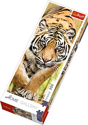 Пазлы - (300 Элм. Домашняя галерея) - 
