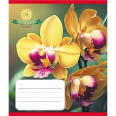 Зошит учнівський "Орхідея" 036-570137K-1 в клітинку, 36 аркушів