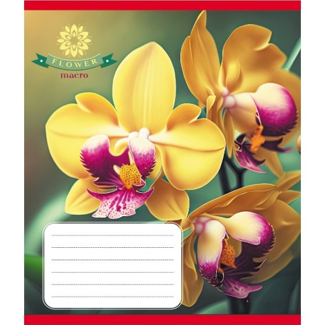 Зошит учнівський 