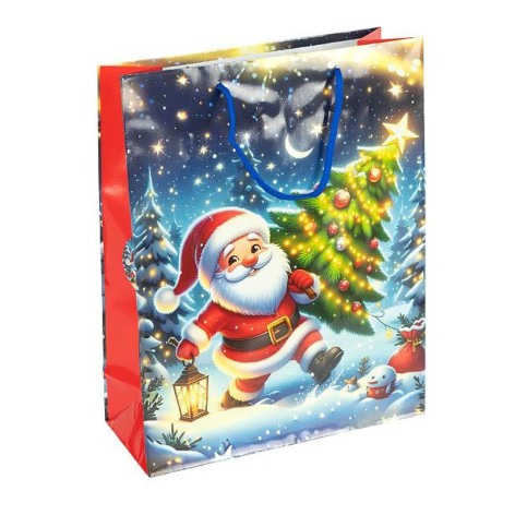 Пакет подарунковий 