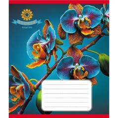 Зошит учнівський "Орхідея" 036-570137K-2 в клітинку, 36 аркушів