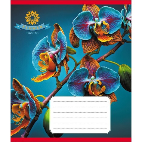 Зошит учнівський 