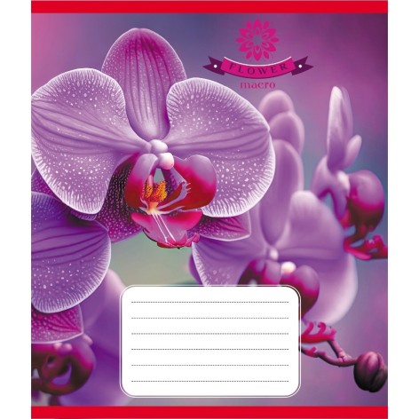 Зошит учнівський 