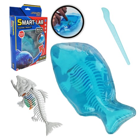 Дитячий лабораторнний набір "Піран’я" 802B, скелет, внутрішні органи