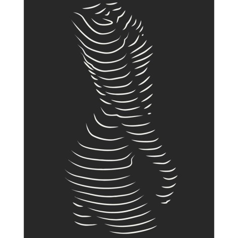 Картина по номерам "Обольстительный силуэт" 10117-AC 40х50 см