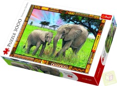 Пазлы - (3000 Элм.) - 