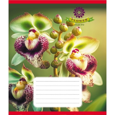 Зошит учнівський 