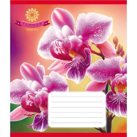 Зошит учнівський 