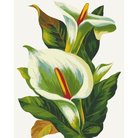 Картина за номерами без підрамника "Білі калли" 13128-ACNF 40х50 см 