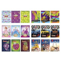 Блокнот А6 Б-П6-80, 80 листов, пружина боковая, ассортимент