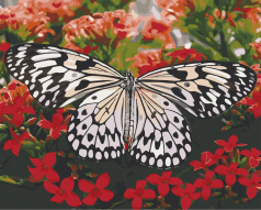 Картина по номерам. Art Craft 