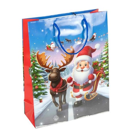 Пакет подарунковий 