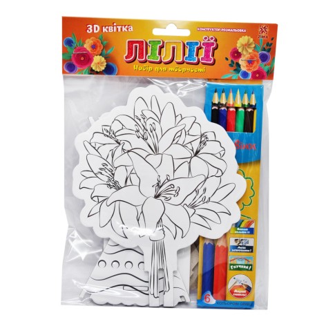 Набор для творчества Конструктор раскраска 3Д 