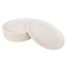 Одноразові паперові тарілки 04844Т16 D-16,5 см 100 шт