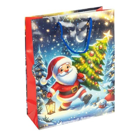 Пакет подарунковий 