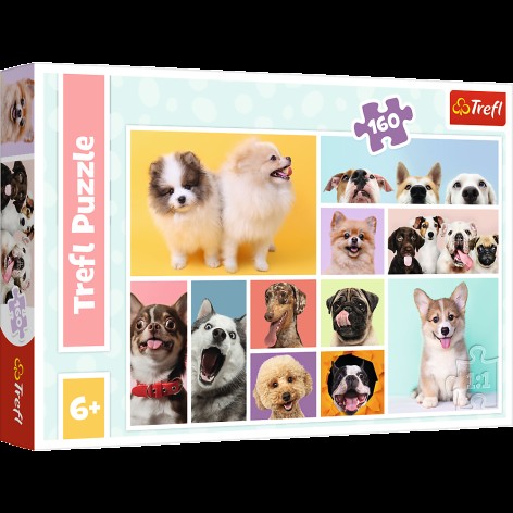 Пазли - (160 елм.) - 