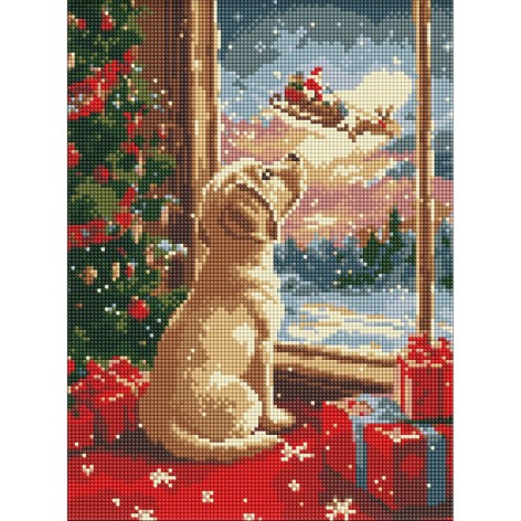 Алмазна мозаїка без підрамника 