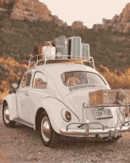 Картина за номерами. Art Craft 