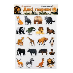 Набор магнитов  