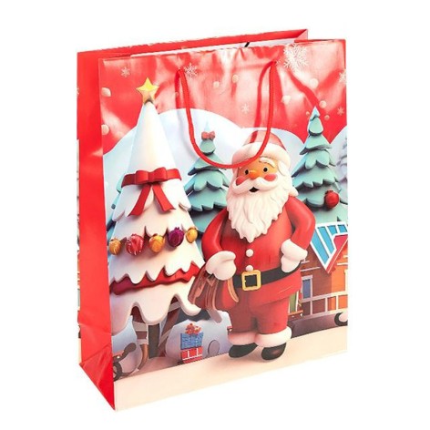 Пакет подарунковий 