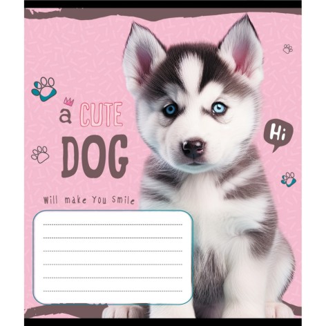 Зошит учнівський 