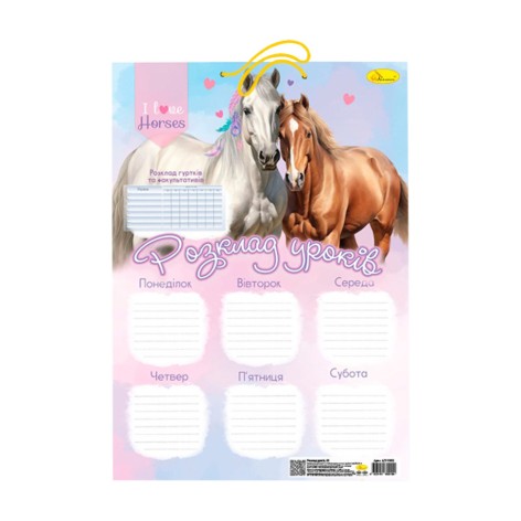 Ламінований розклад уроків АП-0802 формат А3  Вид 1