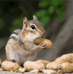 Картина за номерами. Art Craft 