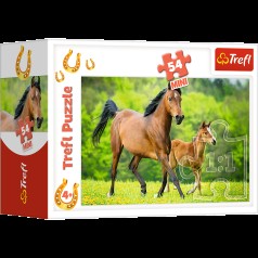 Пазли - (54 елм. Міні) - Сім'я 