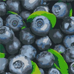 Картина по номерам 