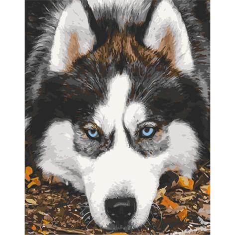 Картина за номерами 