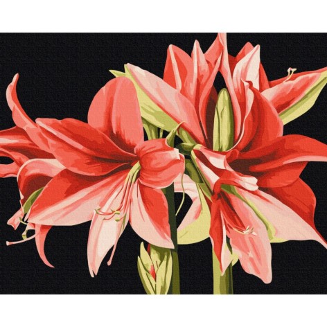 Картина по номерам 