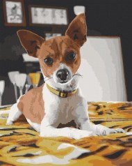 Картина по номерам. Art Craft 