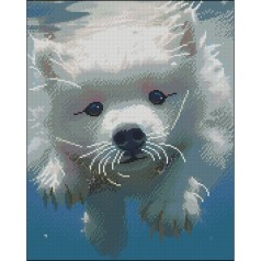 Алмазна мозаїка "Пухнастий плавець" ZAV4050-9 без підрамника 40х50 см 