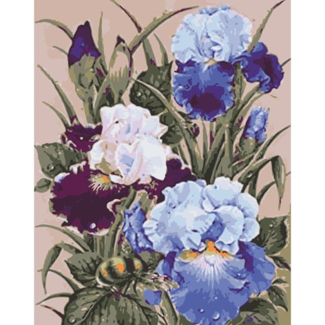 Картина за номерами 